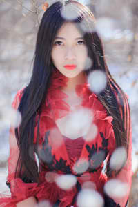 武媚娘传